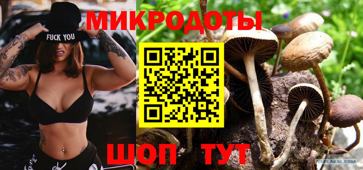 Галлюциногенные грибы мицелий  Вход с VPN  Псилоцибиновые грибы ЛСД  Алатырь 